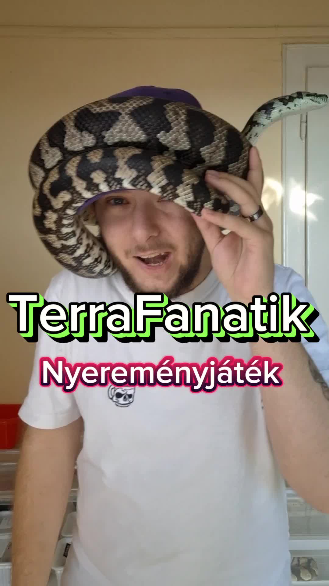 @Milu a Gekk&oacute;s 🦎
