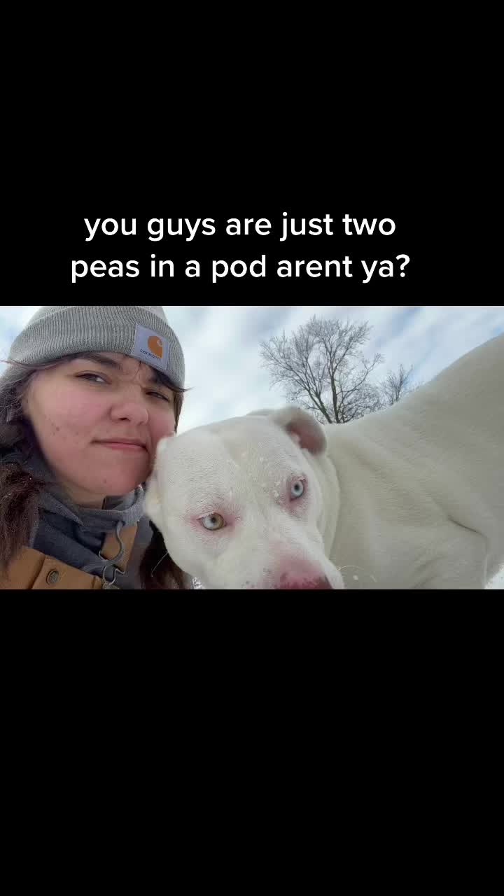 @katie:)