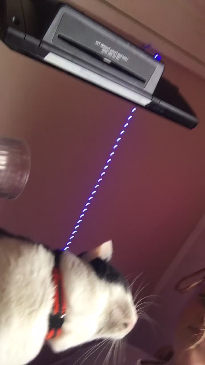 @😺😺