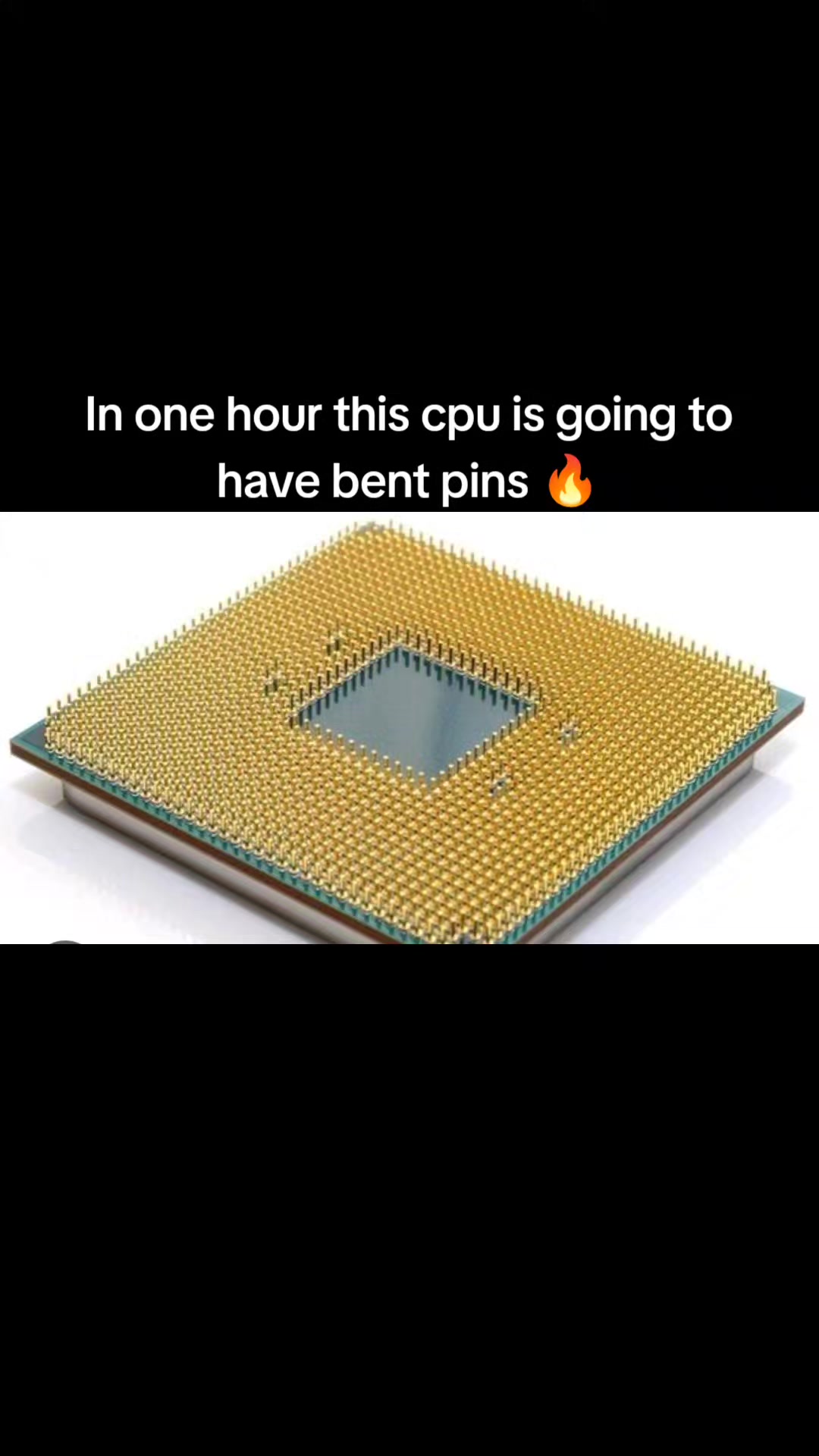 @david.tech