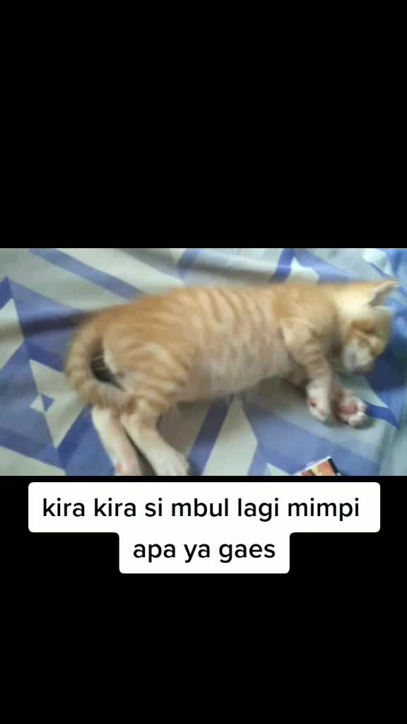 @beby all