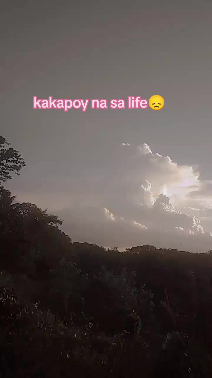 @Shy Yap