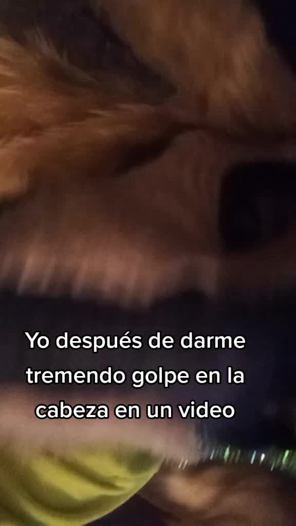 @Draco