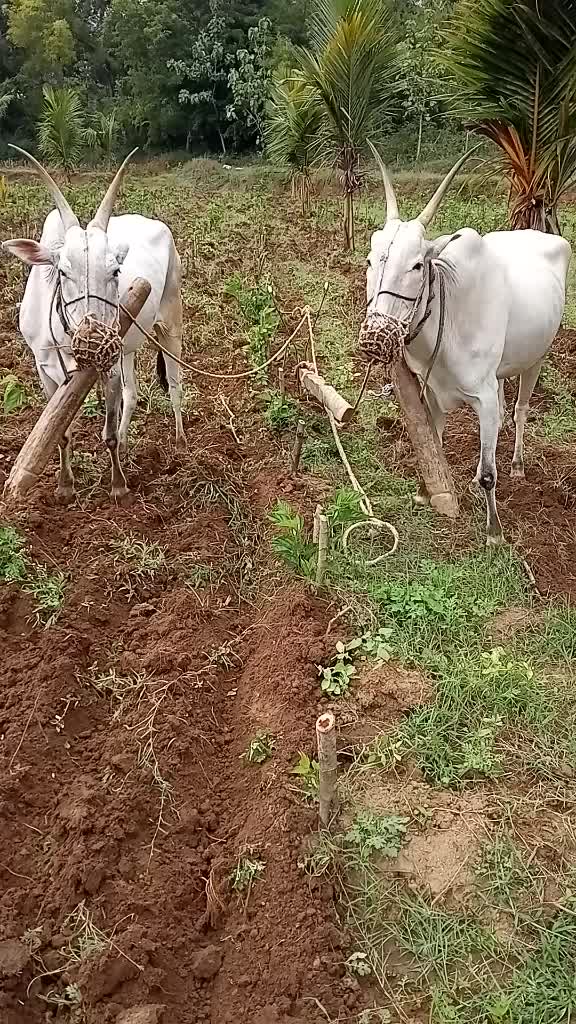 @user3596936326854