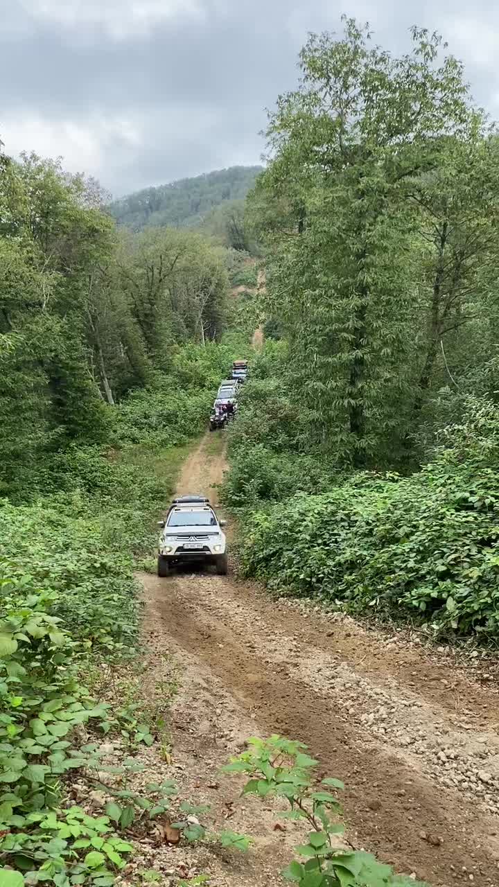 @arda şen