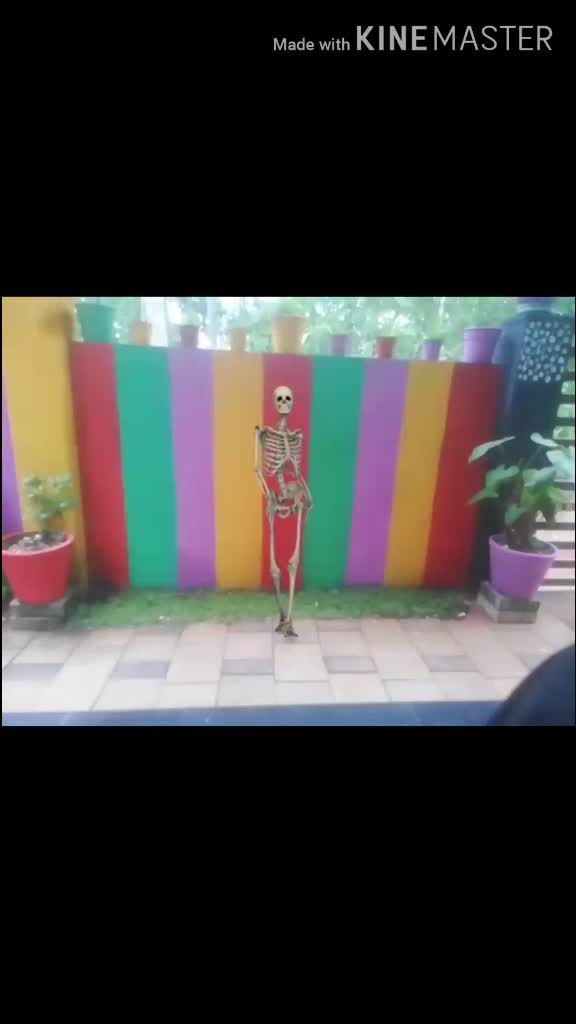 @praveen kumar.