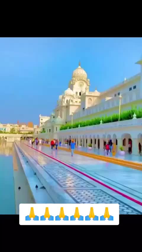 @🦅_ਉੱਡਦੇ _ਪਰਿੰਦੇ_🦅