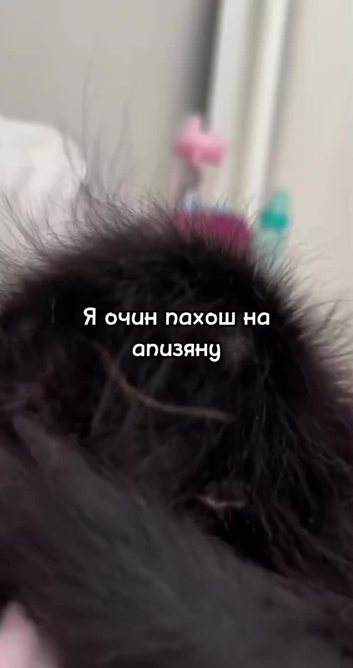 @🍌Киршу Монке🍌