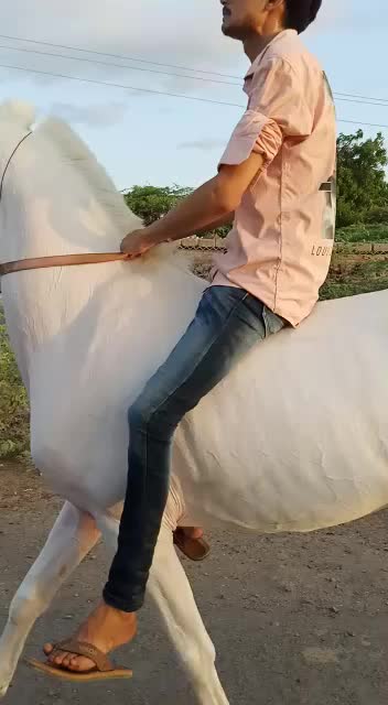 @Rahil Akhani