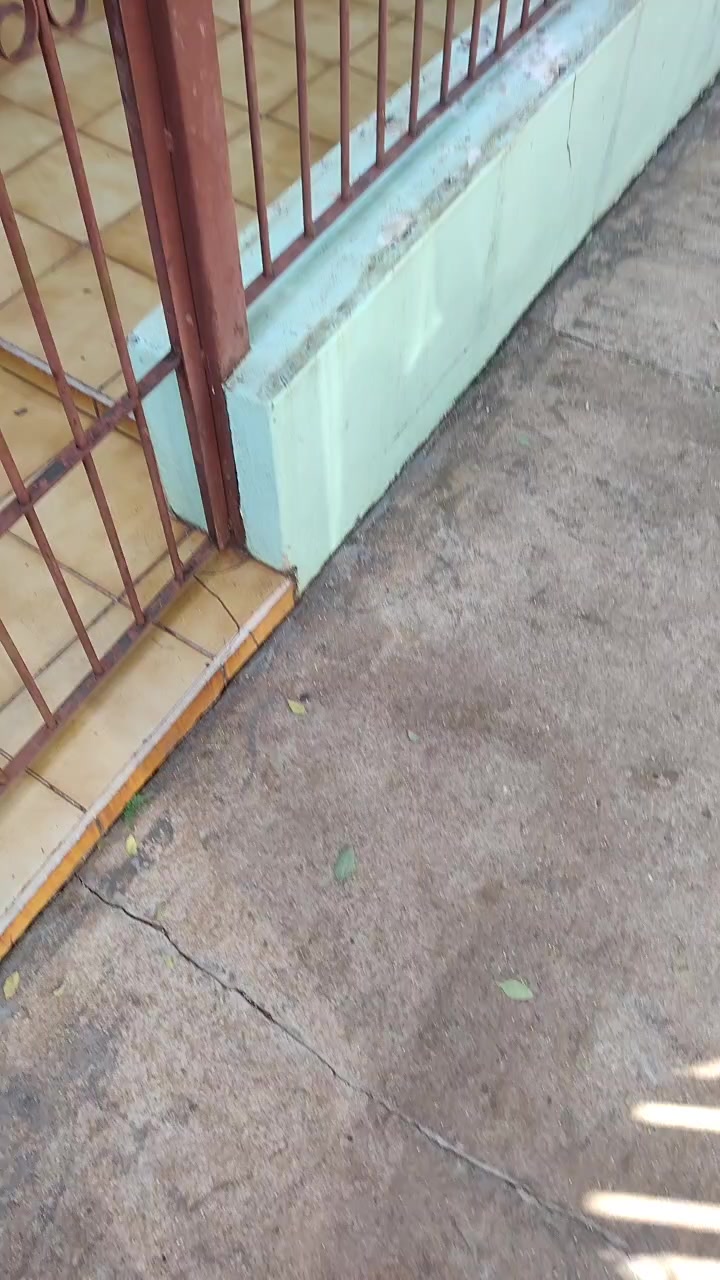 @MAIQUINHO X PRI