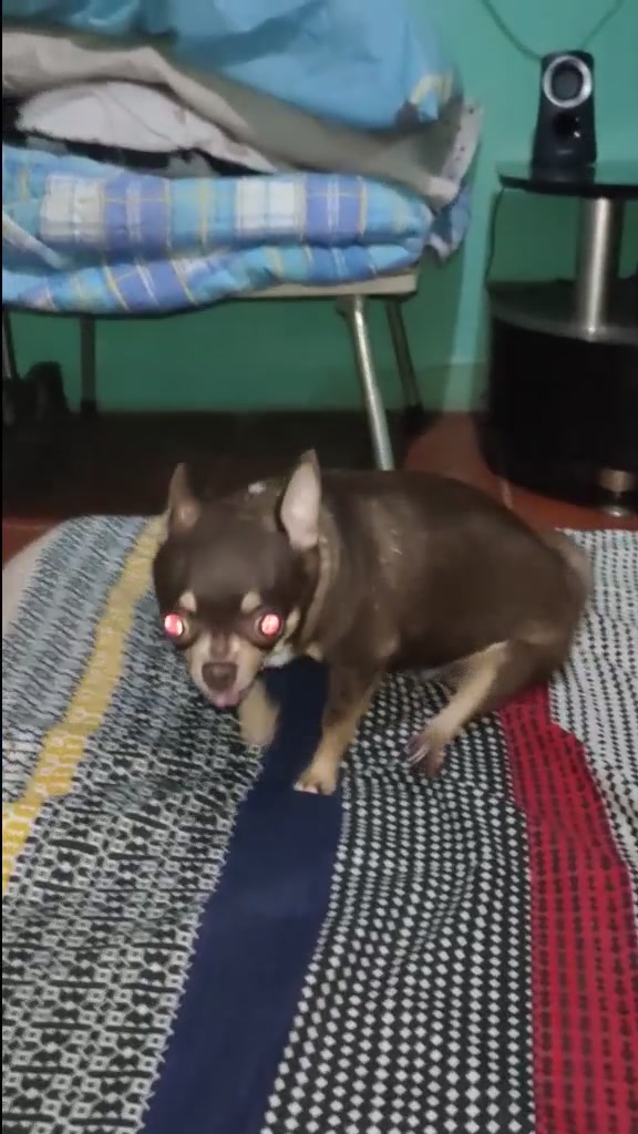 @gabrieLLorenzo