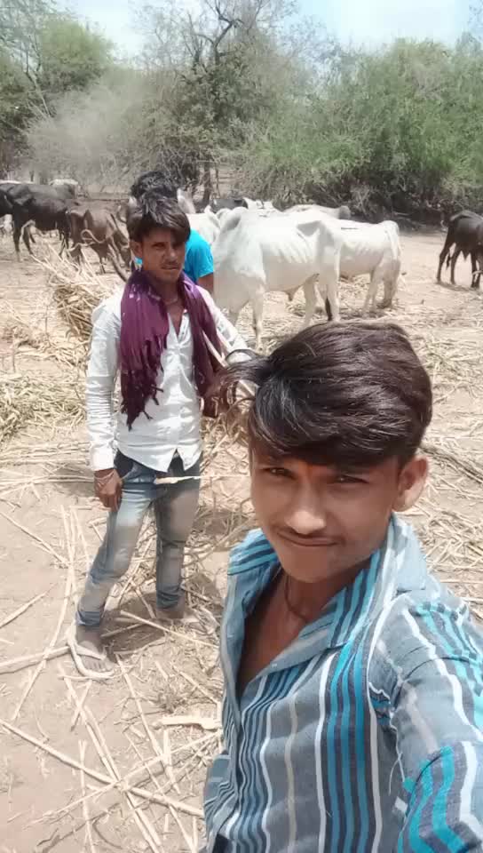 @Bharat Majiyatar42