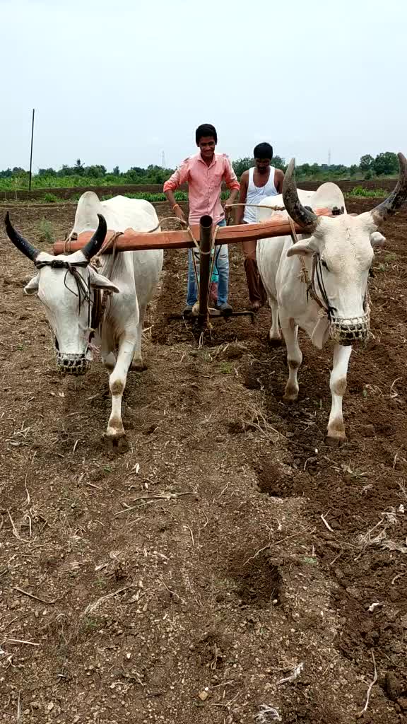 @Satish Karhale Patil