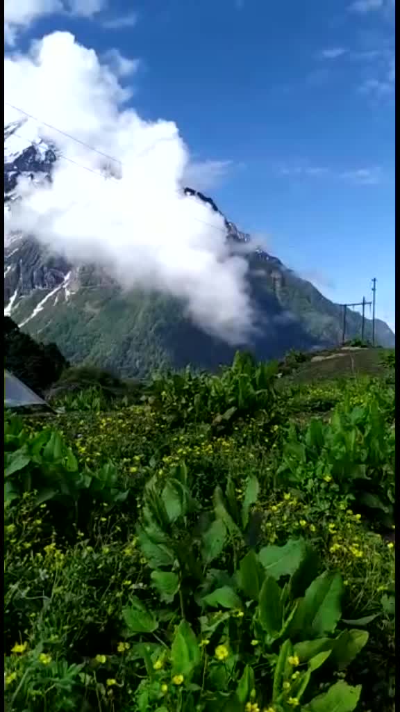 @Anjali🌸