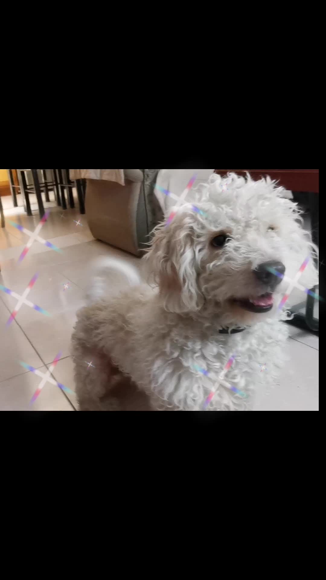 @Jenn Etoile