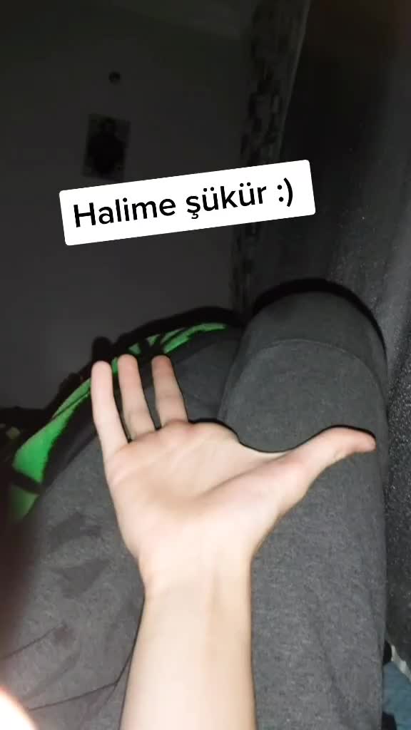 @Sarı bir kedi