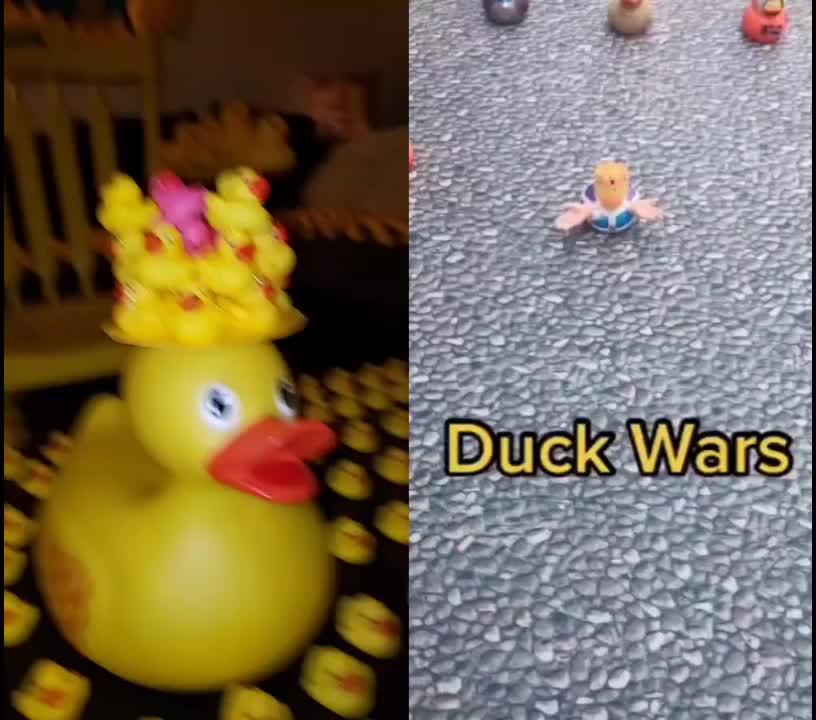 @The Quacken King