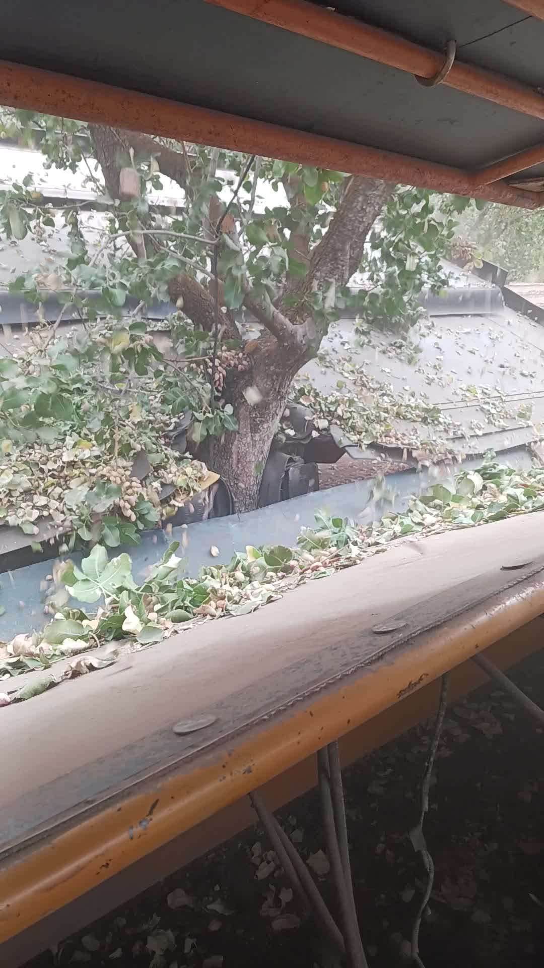 @Jorge Ramos