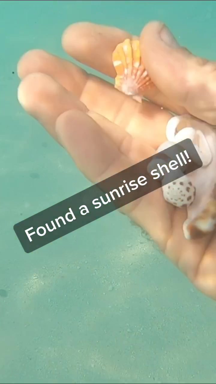 @northshoretreasurehu