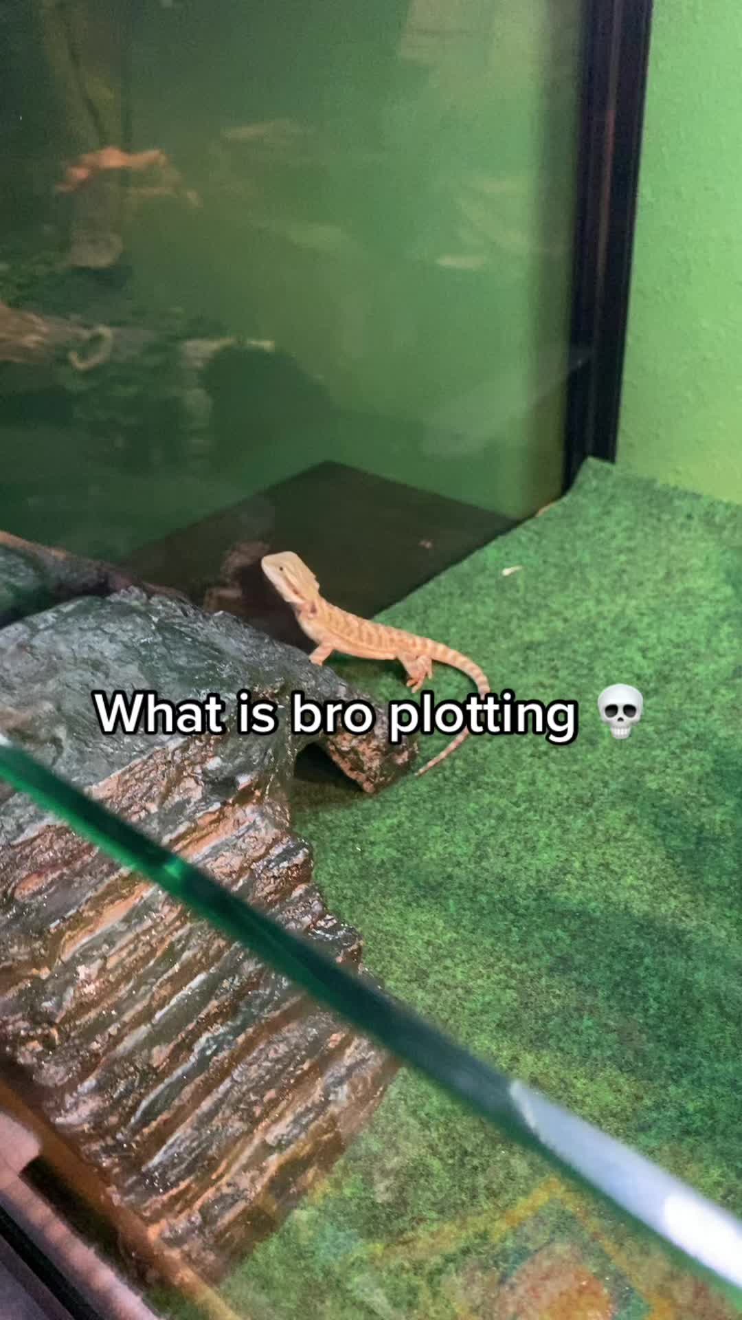 @brb_figures