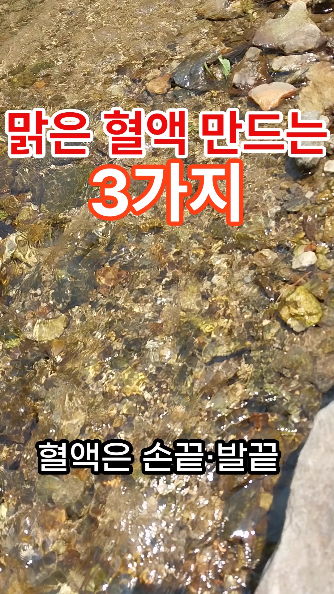 @건강한 산책