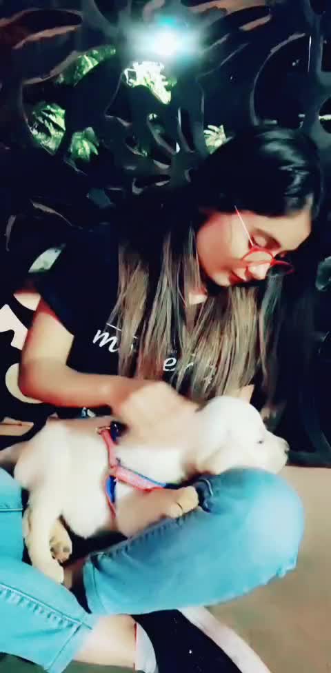 @rinkal.vanpariya