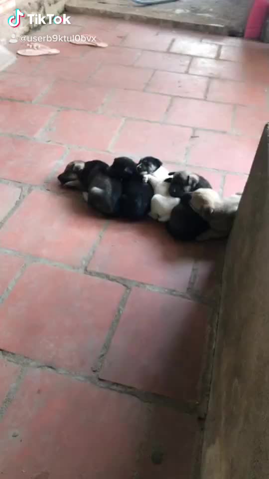@Lặng