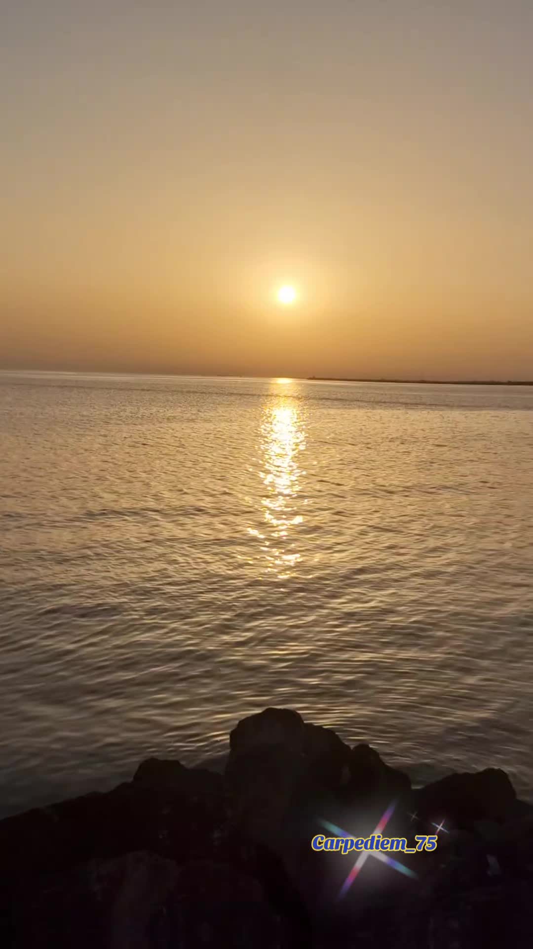 @Carpediem_75