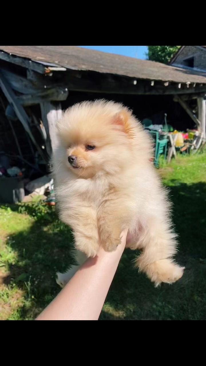 @𝐿𝑒́𝓃𝒶 ᥫ᭡