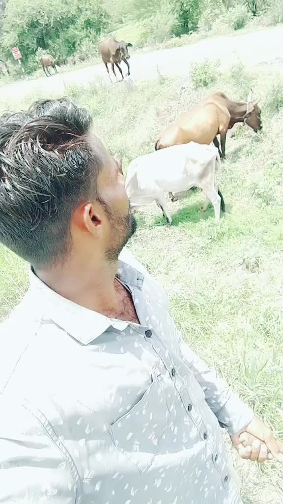 @Vikram Bharvad