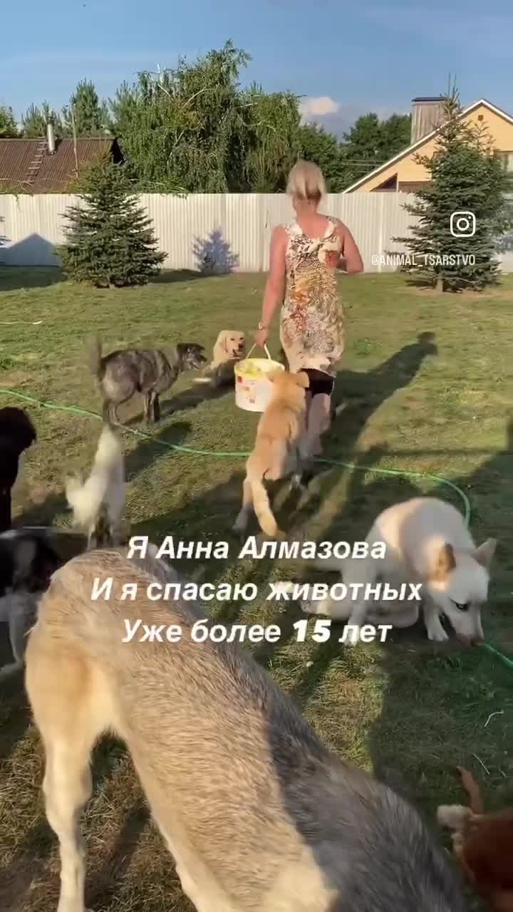 @Анна Алмазова