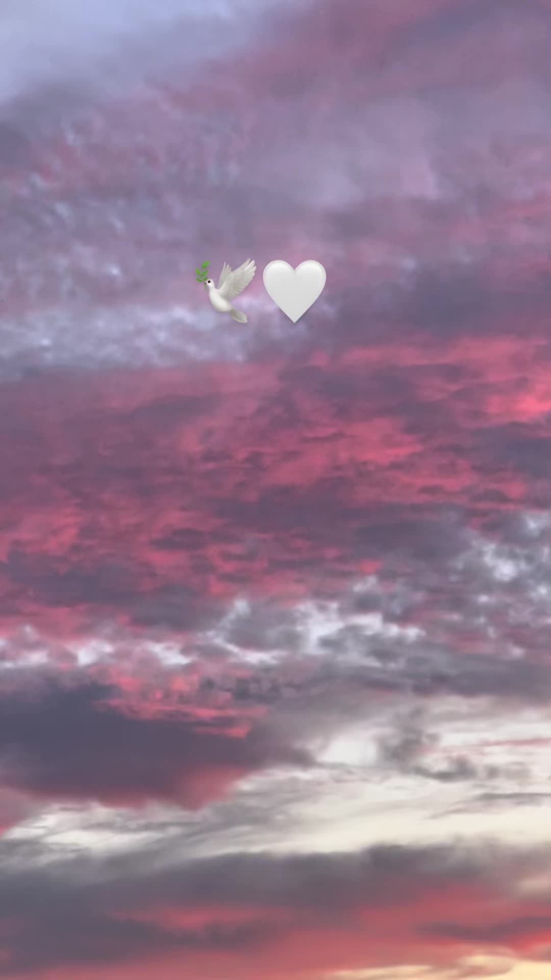 @🌙