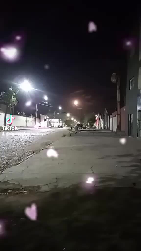 @💥🌕🌴.