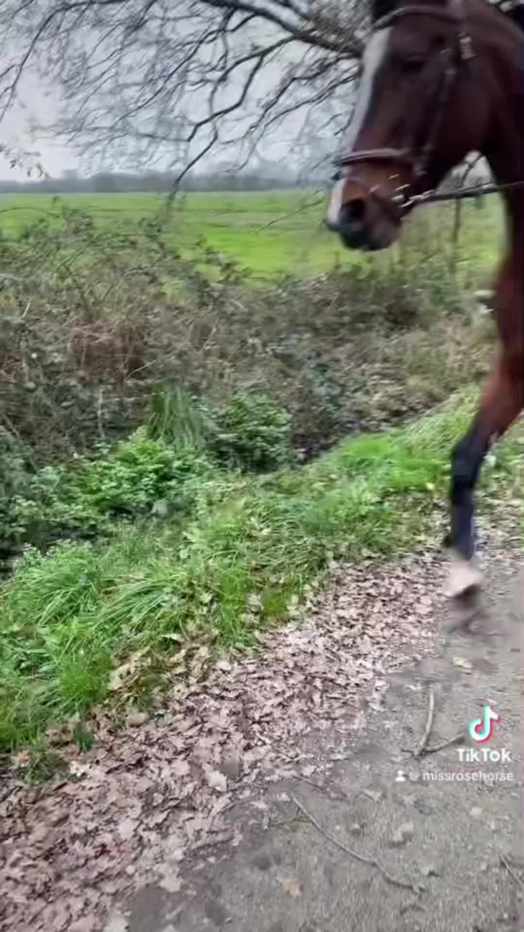 @Missmiss♾️