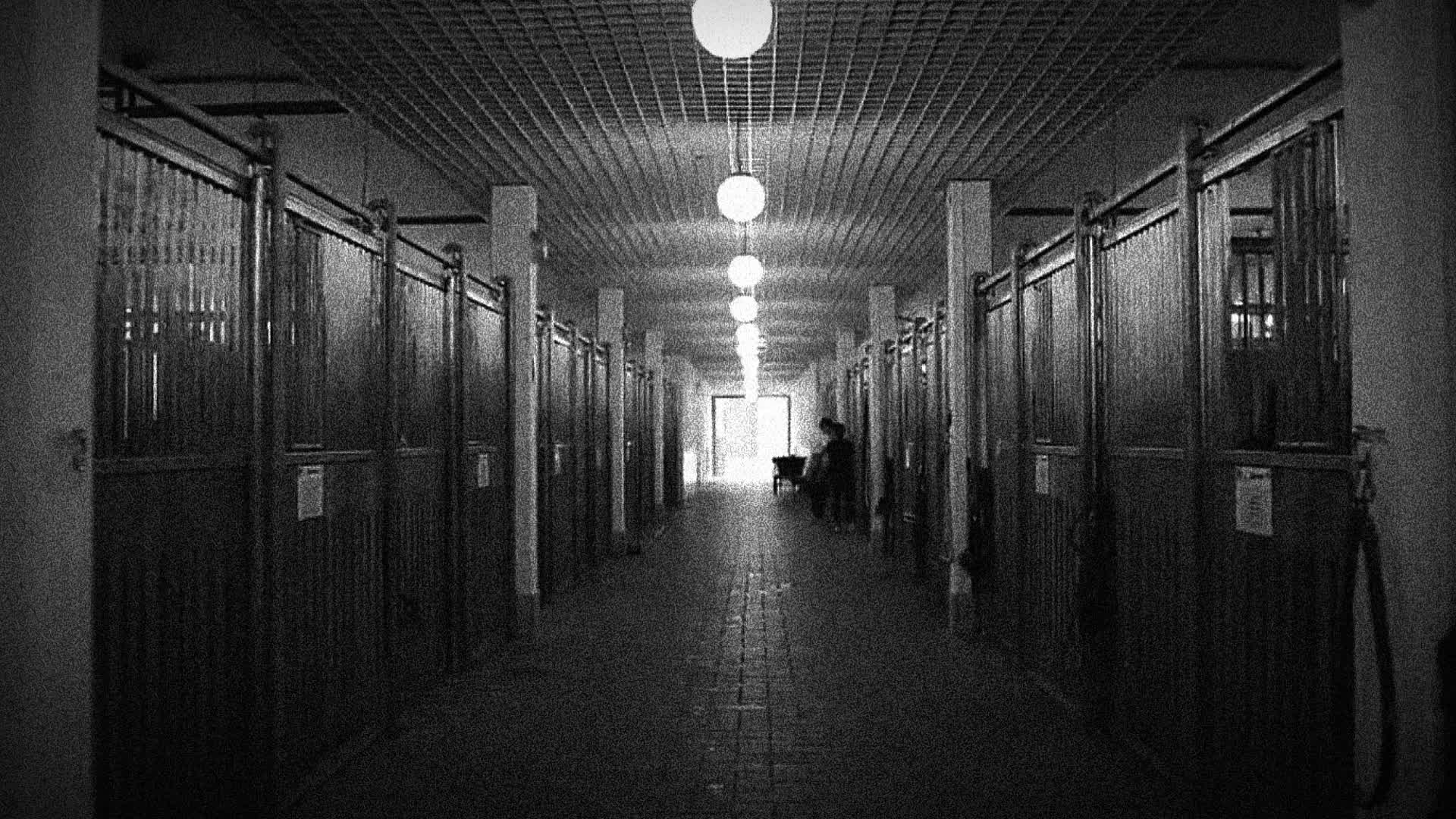 @трагедия