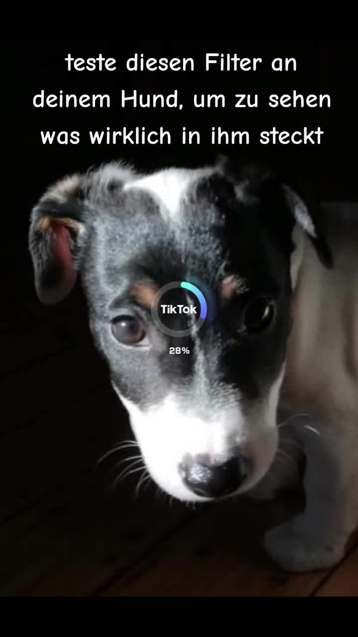 @jackbulli
