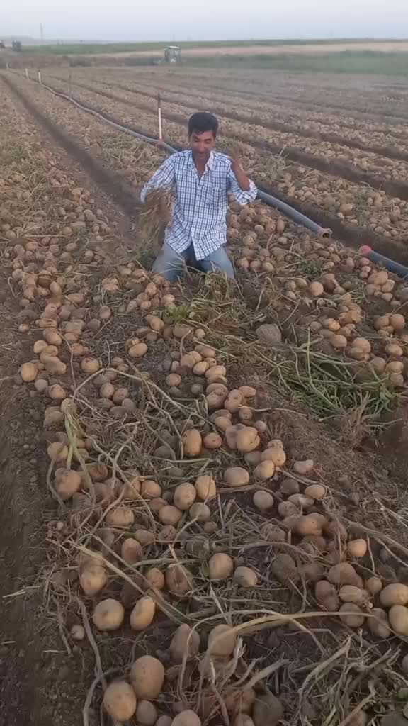 @İsmail KILI&Ccedil;