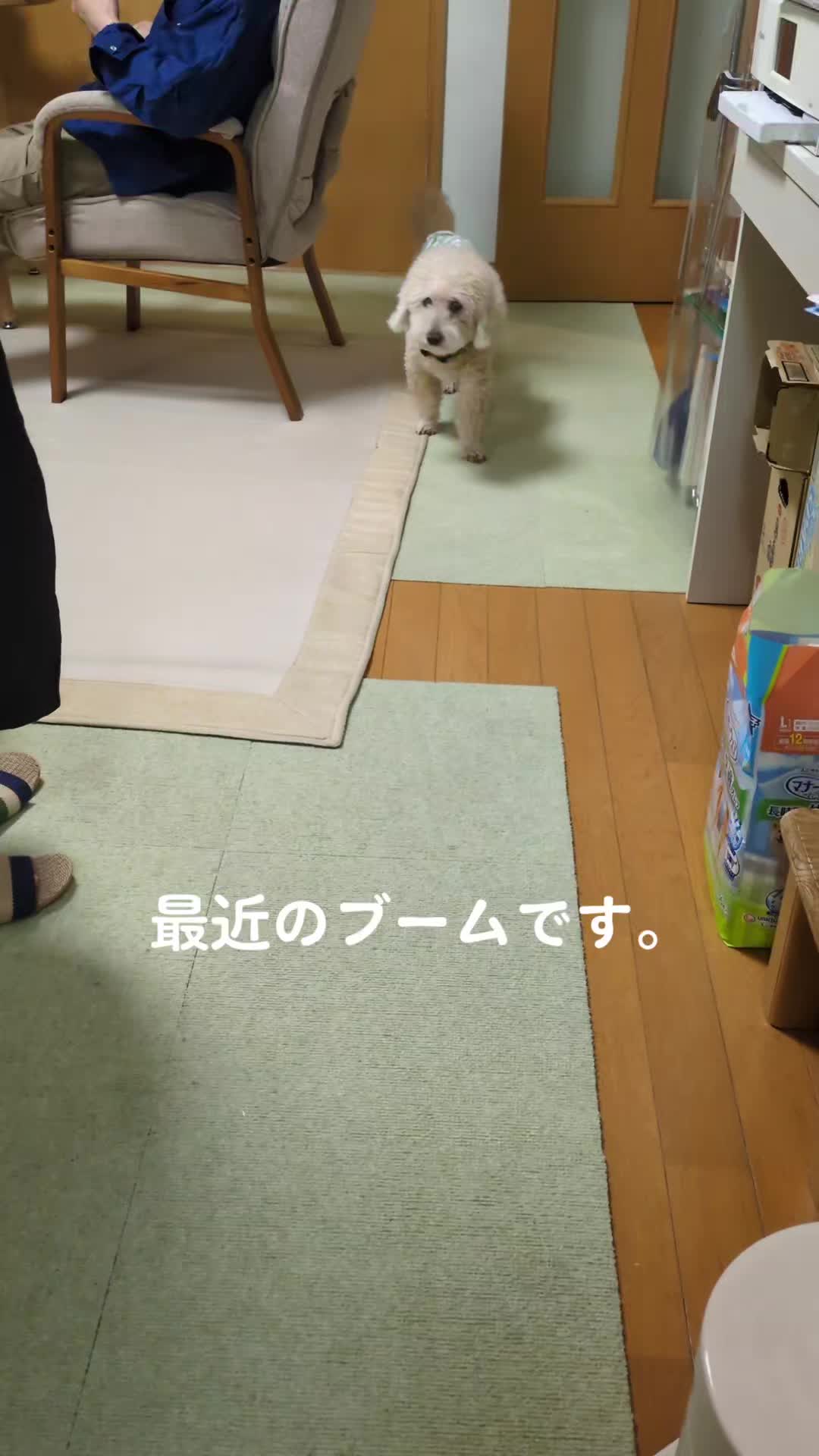 @きなこ