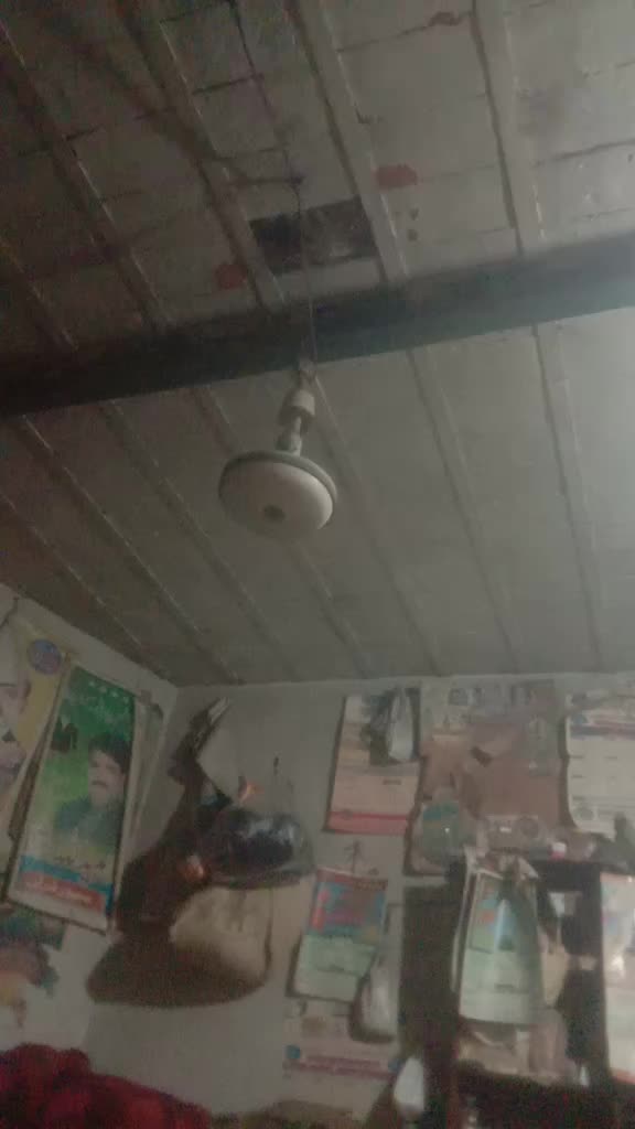 @user1833276872337