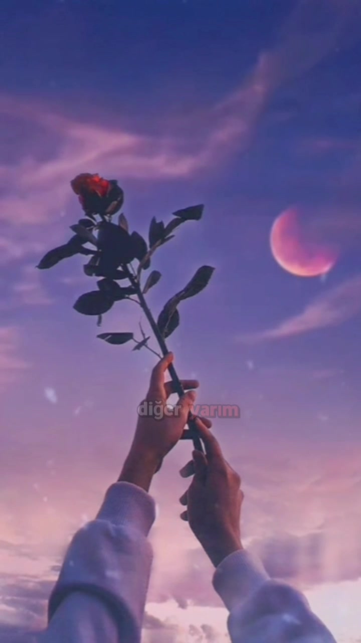 @pandas.editzz