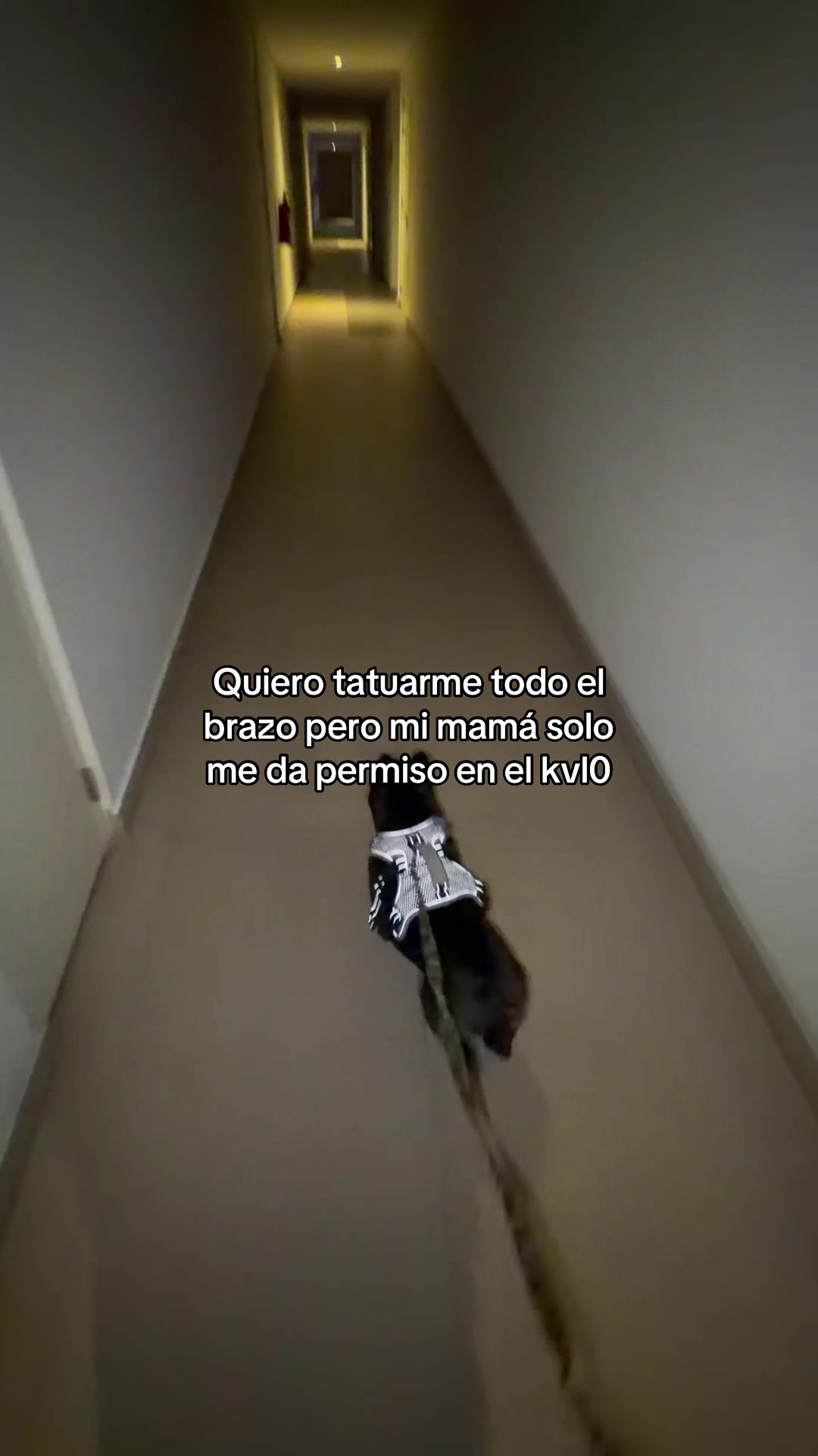 @Maximiliano Ayón