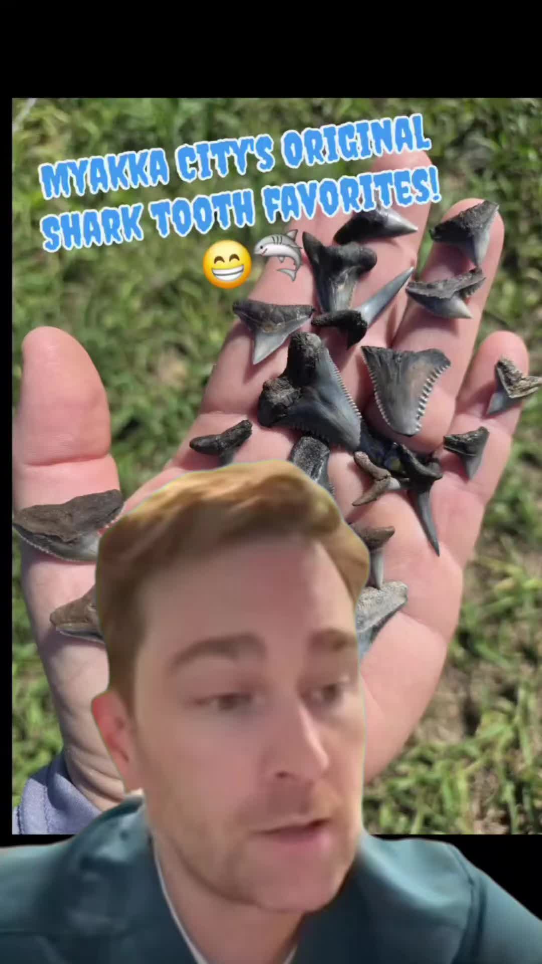 @RelicReef