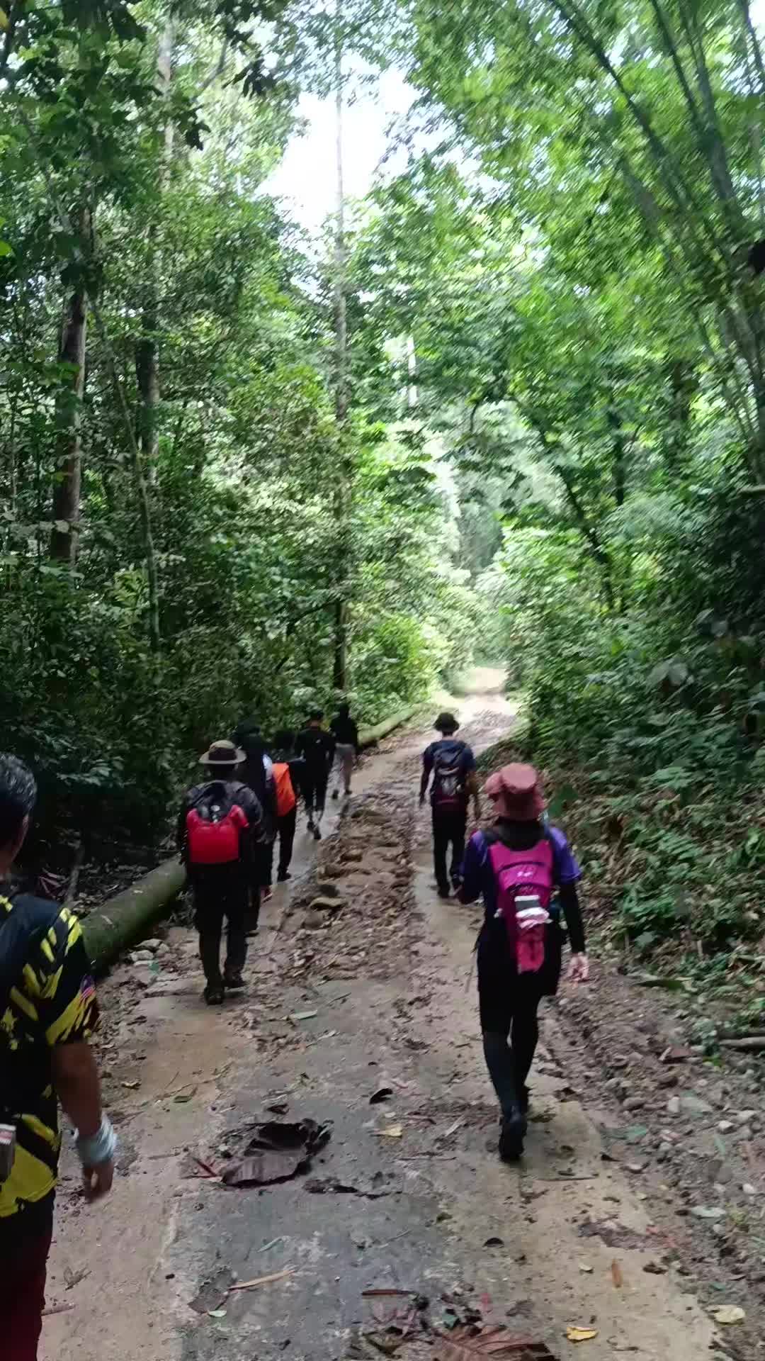 @jijo78