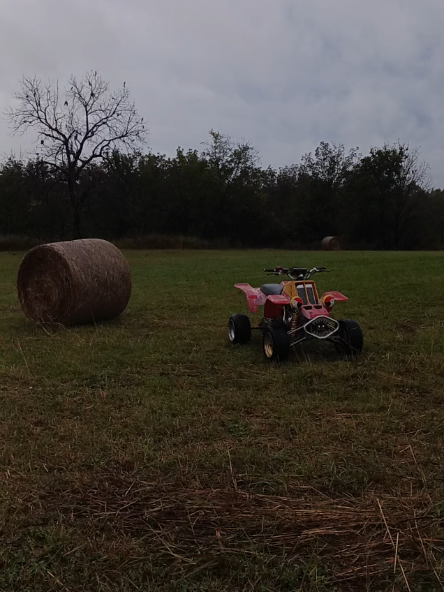 @NoInvite_