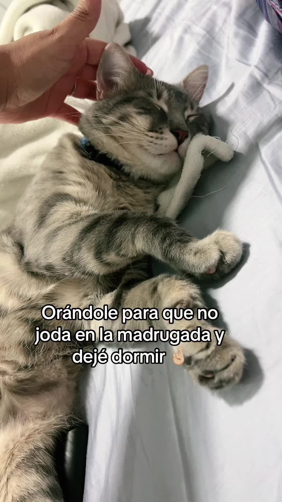@ale_garciar0