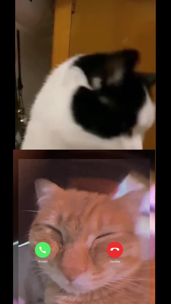 @supreme memes remix 🗿