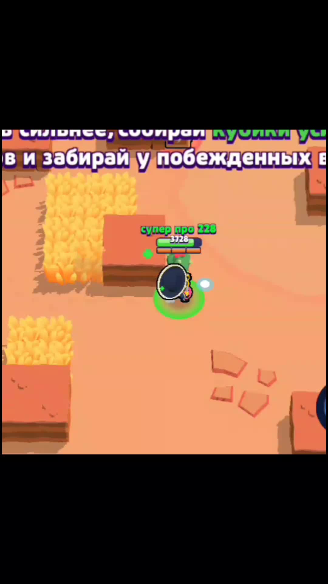 @фенгчик
