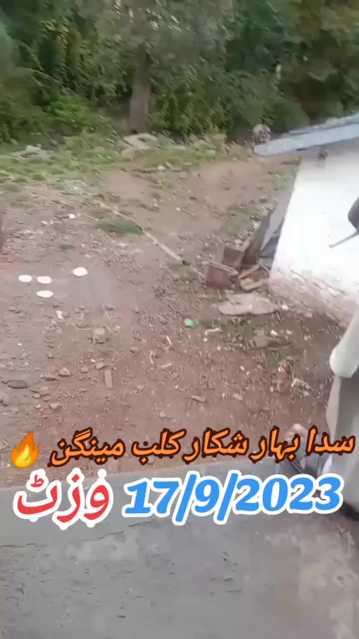 @Ali Annab