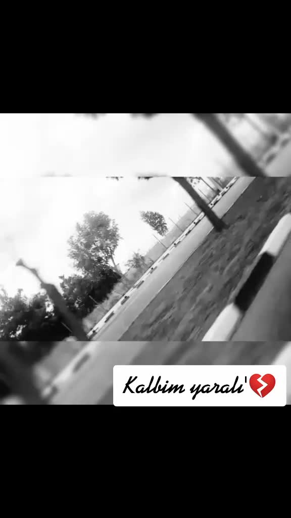 @berivan &ccedil;elik 
