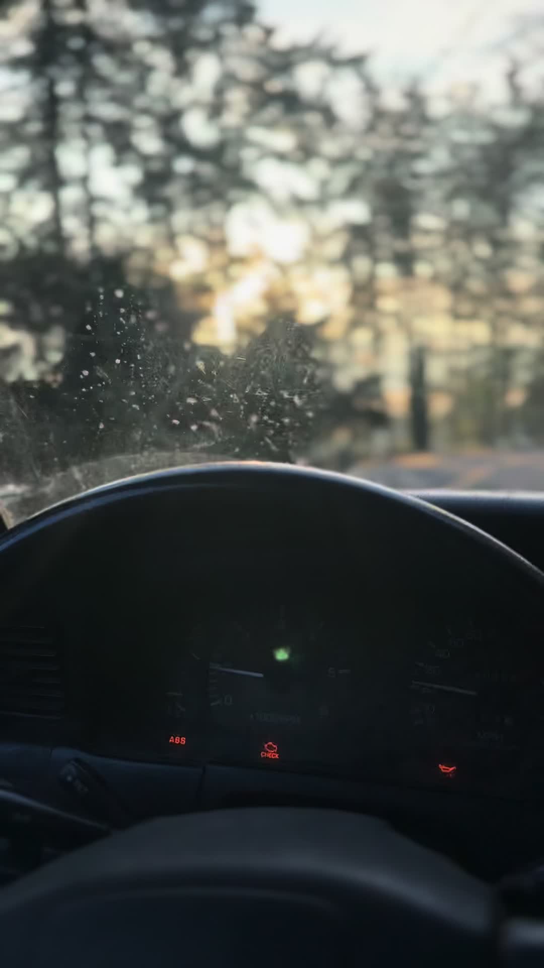 @Gambler 500